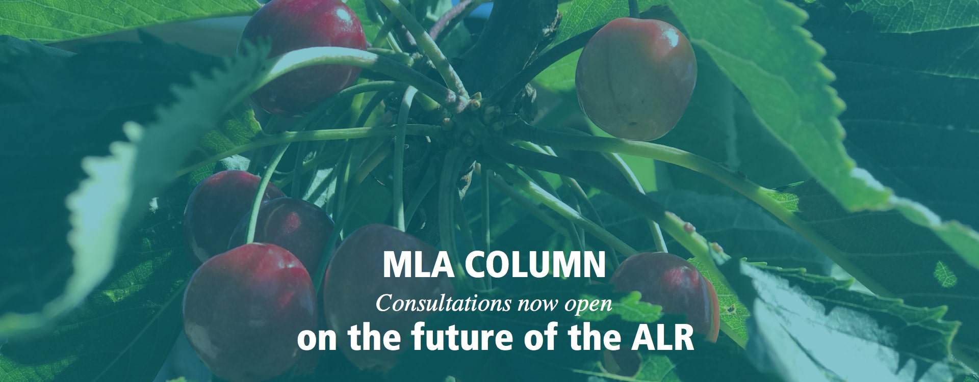 Consultations now open on the future the ALR