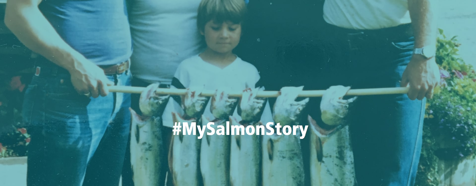 #MySalmonStory