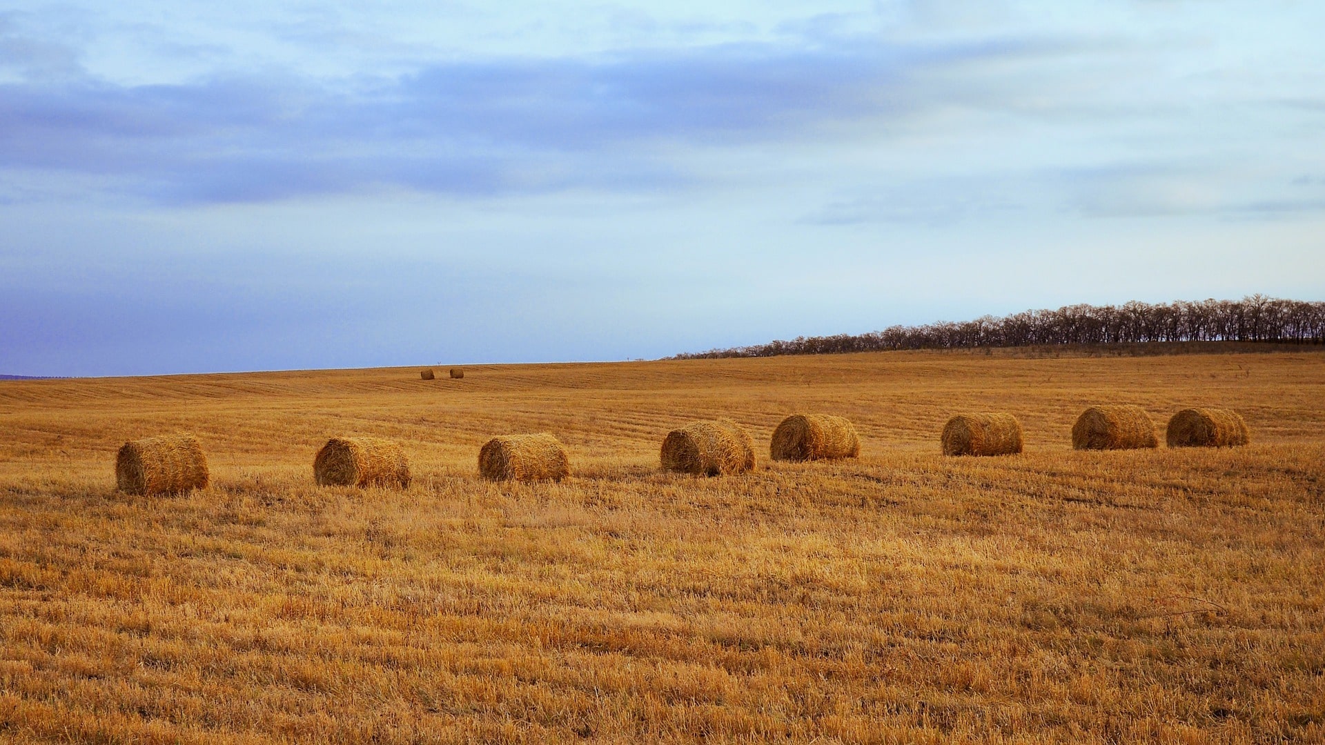 How much is food producing land worth? - Adam Olsen. MLA for Saanich ...