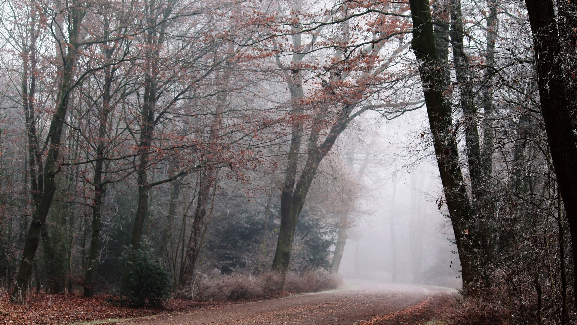 It started with a morning walk