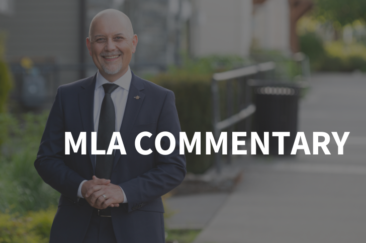 MLA Commentary
