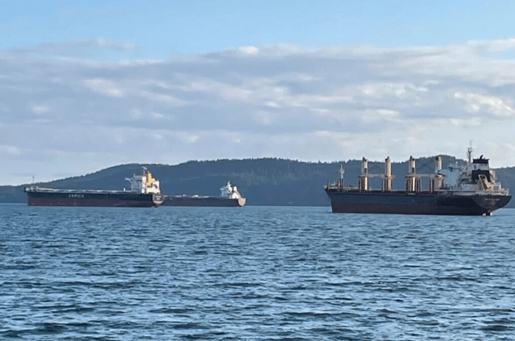 Active Vessel Management Program seeking public input until November 30, 2022