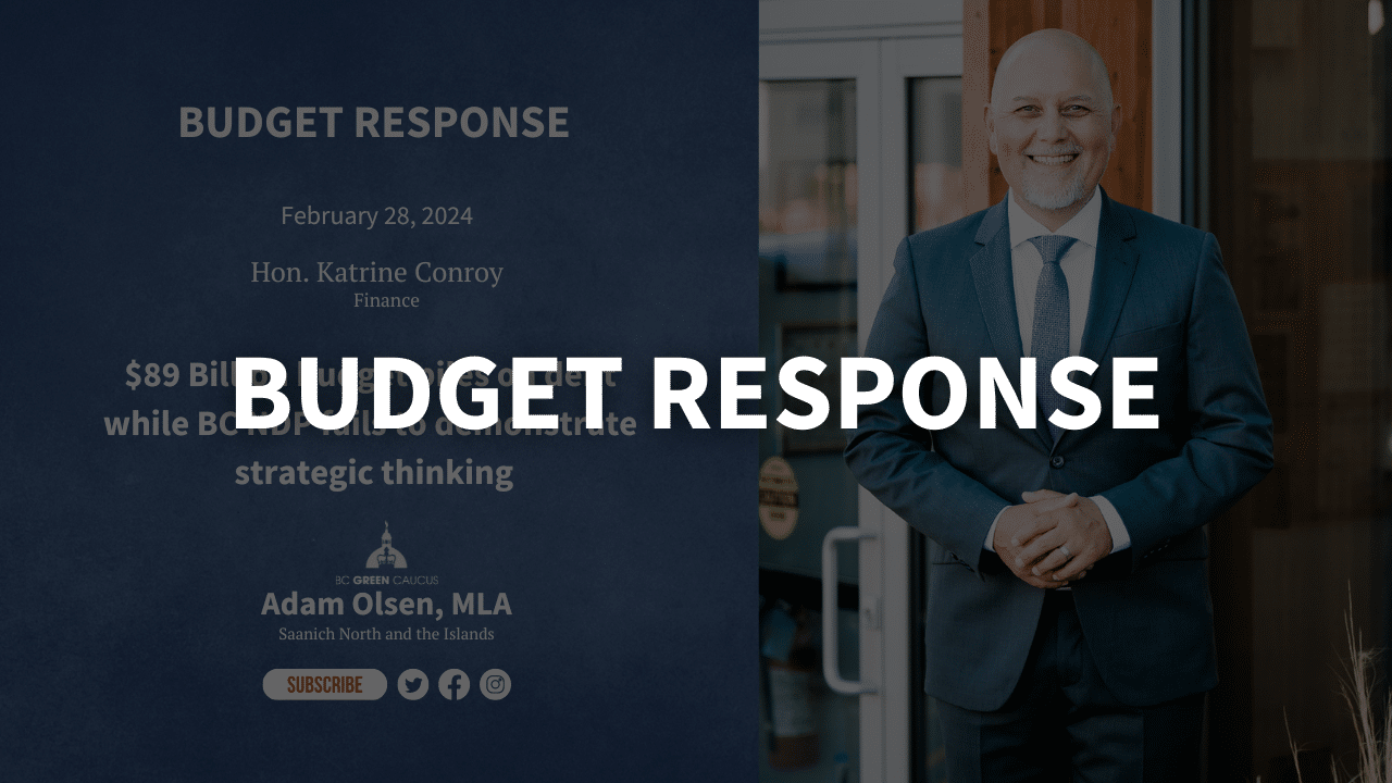 Budget Response graphic